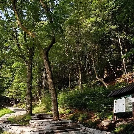 Trio In Centre - Norwegians Minimum Age 25 Апартаменты