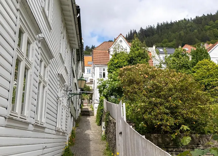 Trio In Centre - Norwegians Minimum Age 25 Bergen
